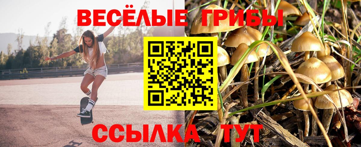 Псилоцибиновые грибы MAGIC MUSHROOMS Иваново
