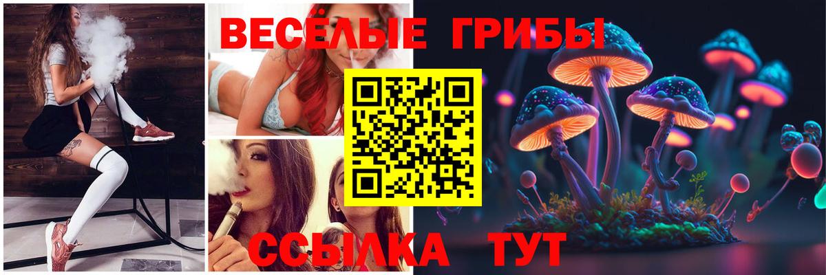 Иваново  Галлюциногенные грибы Cubensis  Вход с VPN  Псилоцибиновые грибы мухоморы 